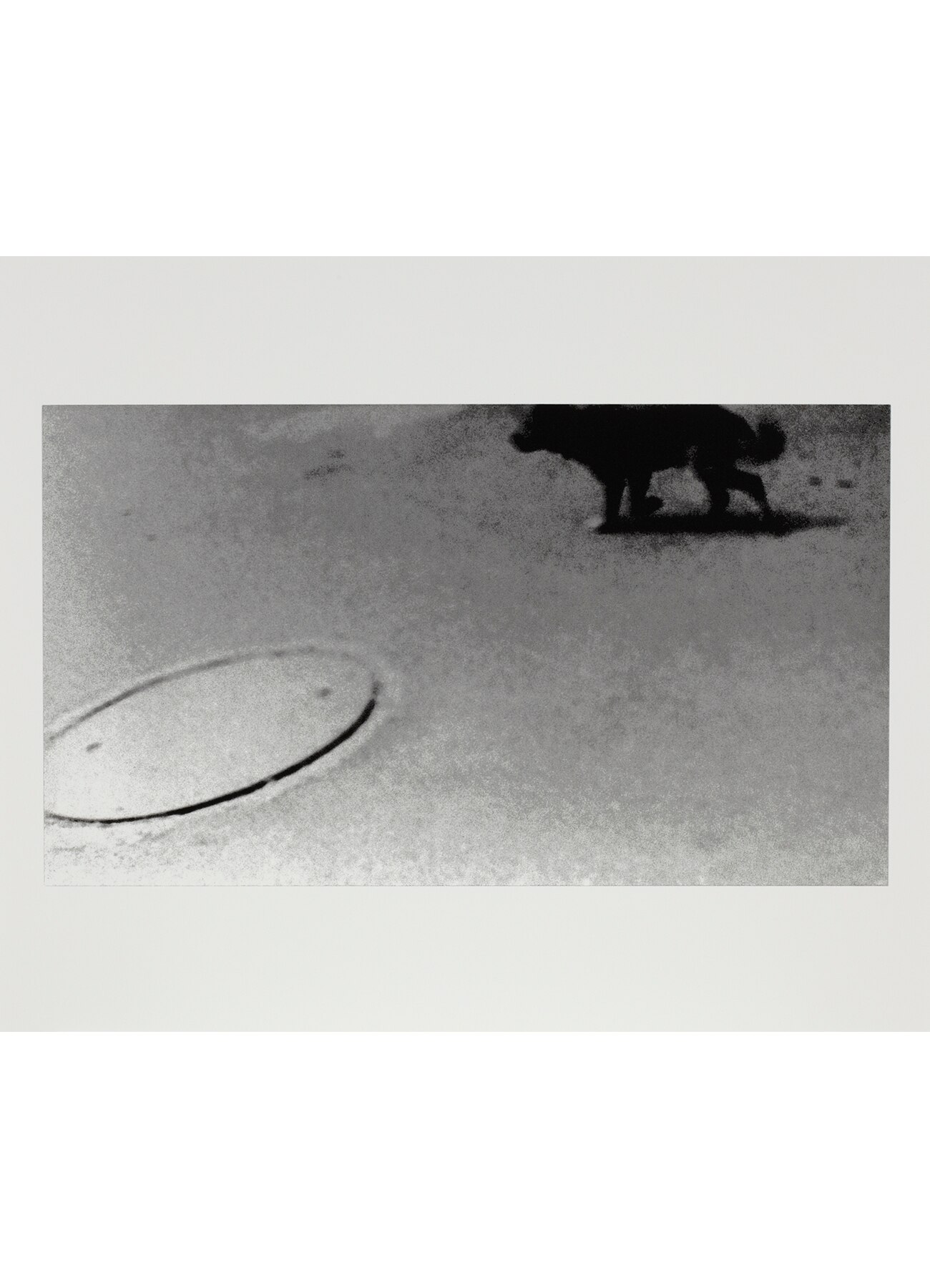 Daido Moriyama "Farewell Photography"_8