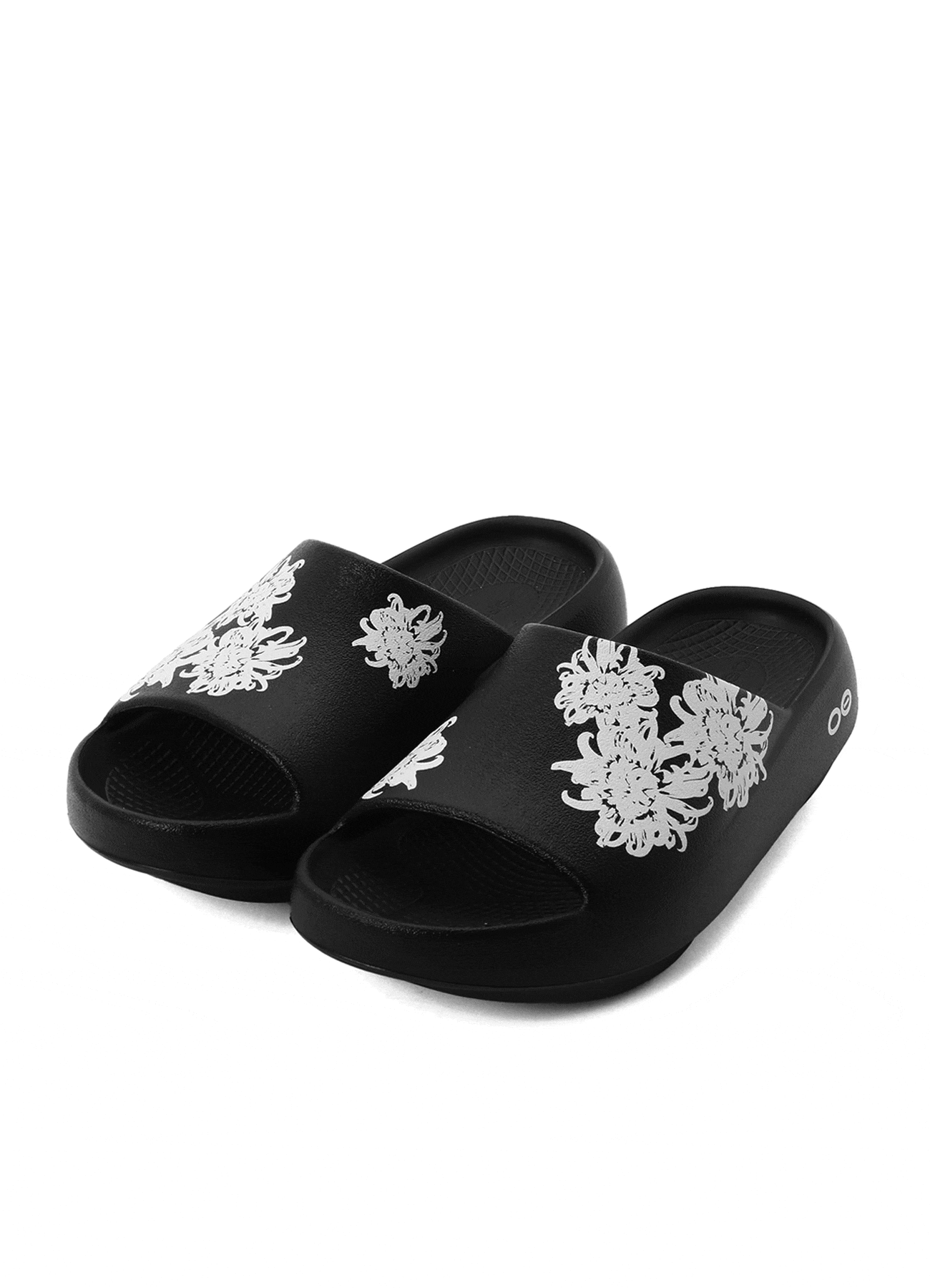 [3 June 12:00 JST release] WILDSIDE × OOFOS OOahh PLUS