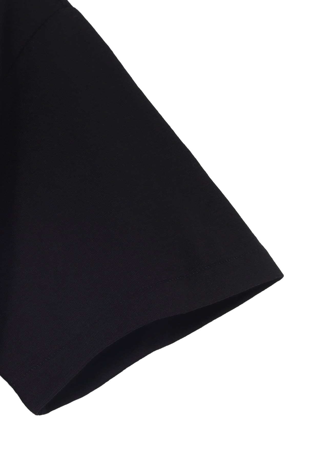 WILDSIDE × RYU GA GOTOKU STUDIO Short Sleeve T-shirt (Hannya/Tiger)_4