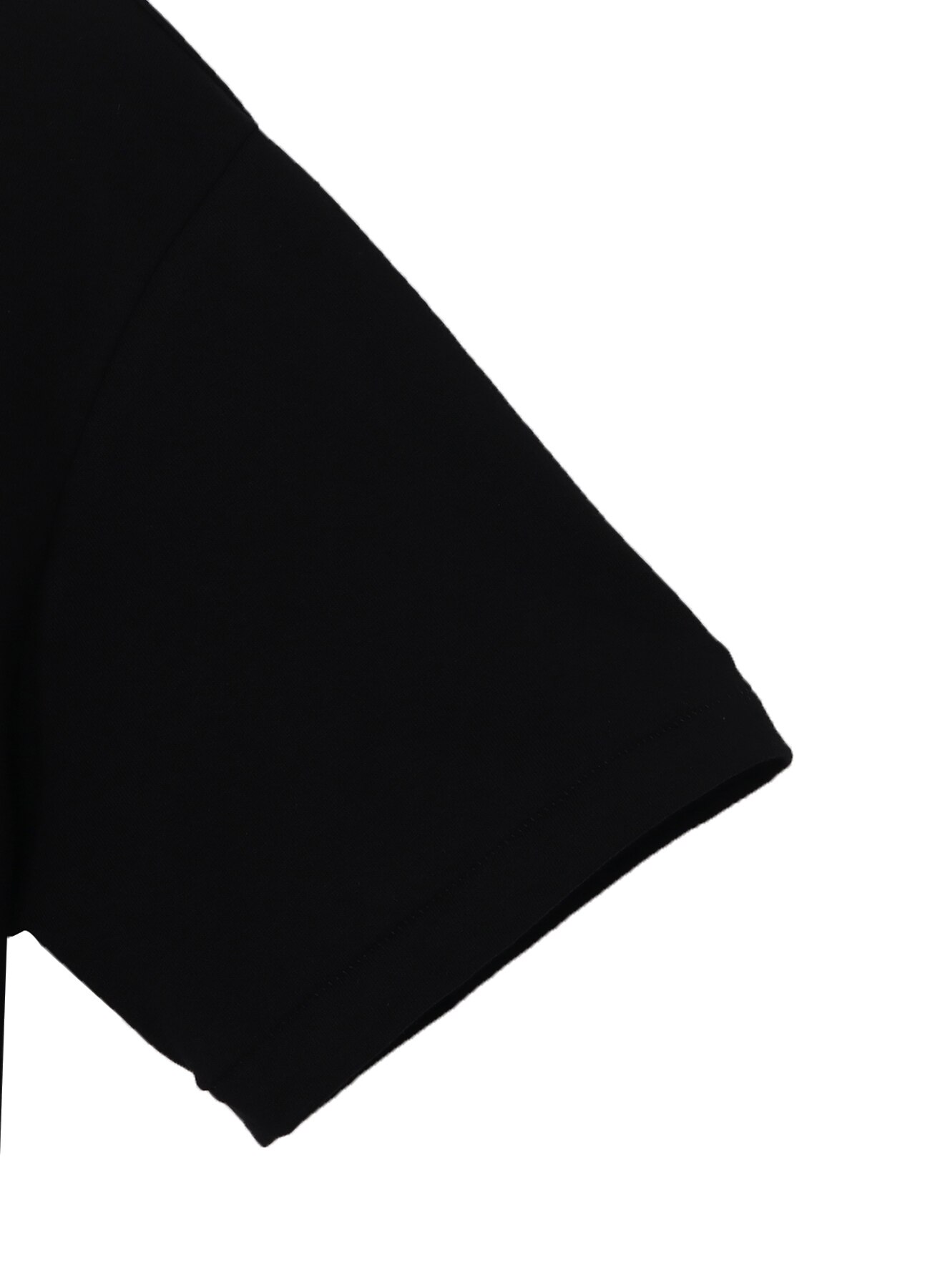 WILDSIDE × Ryu ga Gotoku Studio S/S T-Shirt(Tiger)(M Black