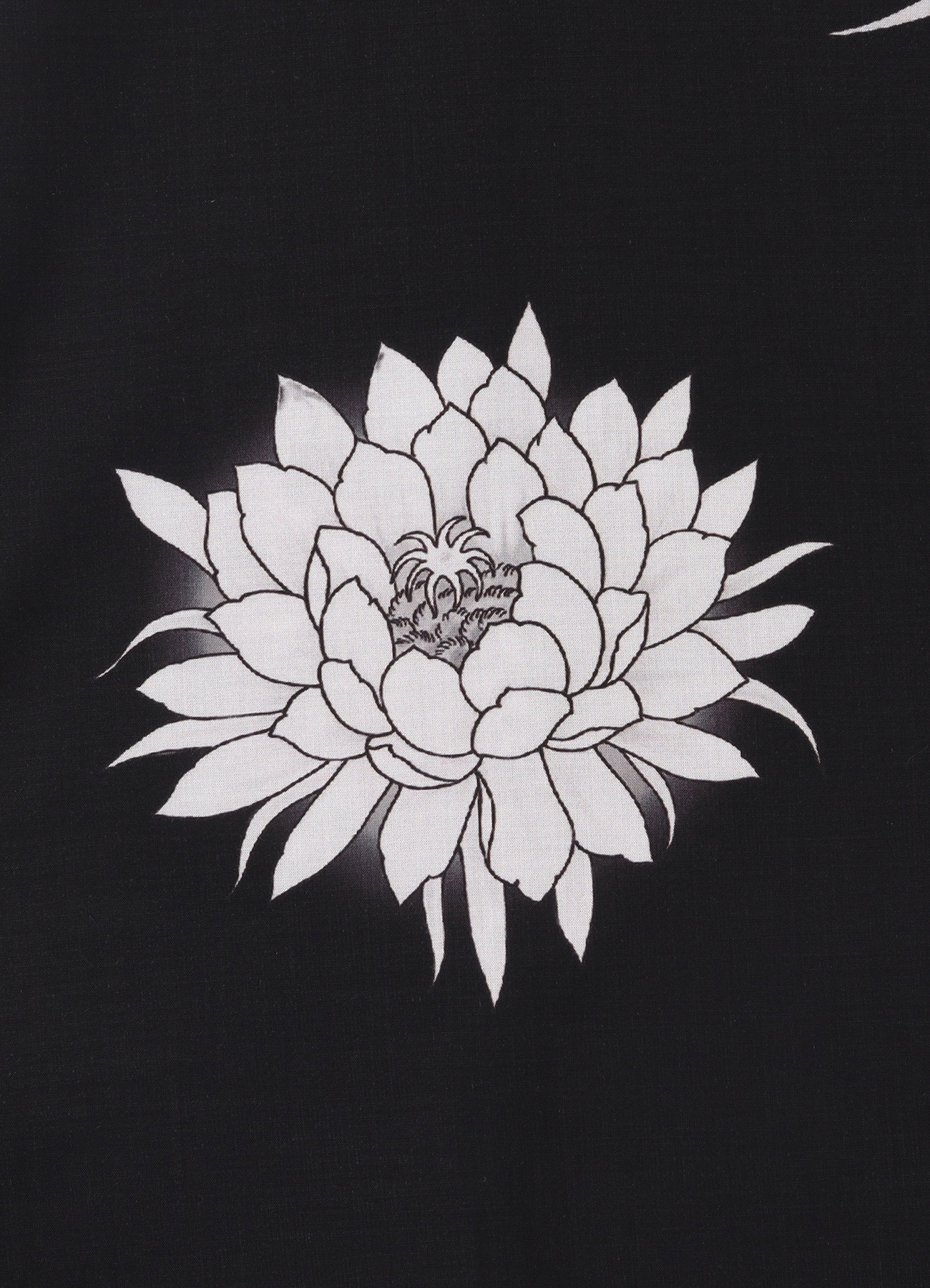 WILDSIDE × RYU GA GOTOKU STUDIO All-over Print Short Sleeve Shirt_7