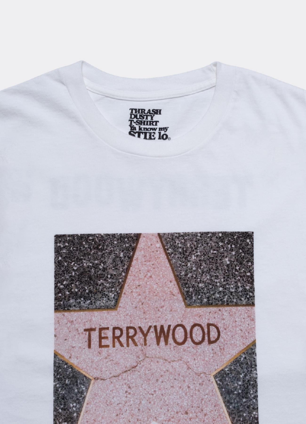 [8 Aug 12:00 JST release] Terry Richardson × Stie-lo Print Tee-A_3