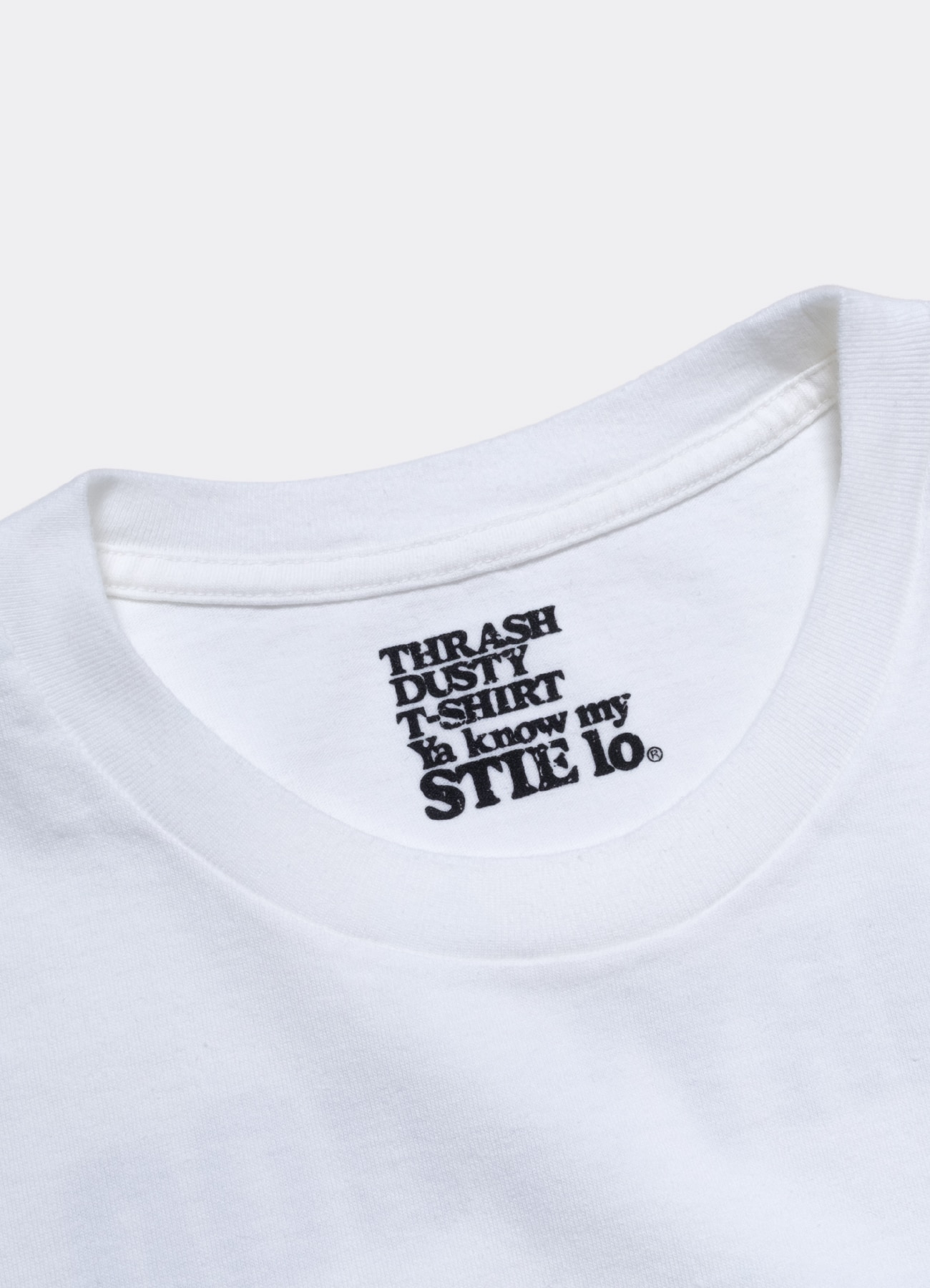 [8 Aug 12:00 JST release] Terry Richardson × Stie-lo Print Tee-B_5