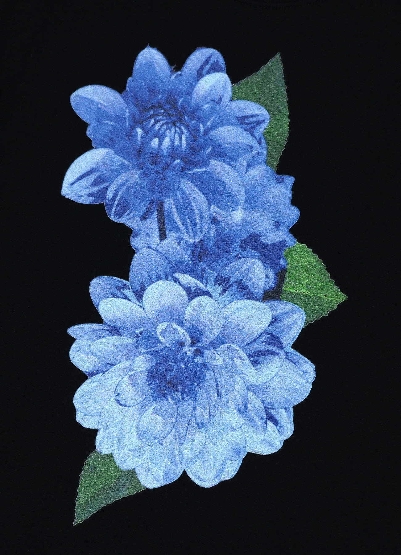 Blue Dahlia Long Sleeve T-shirt_7