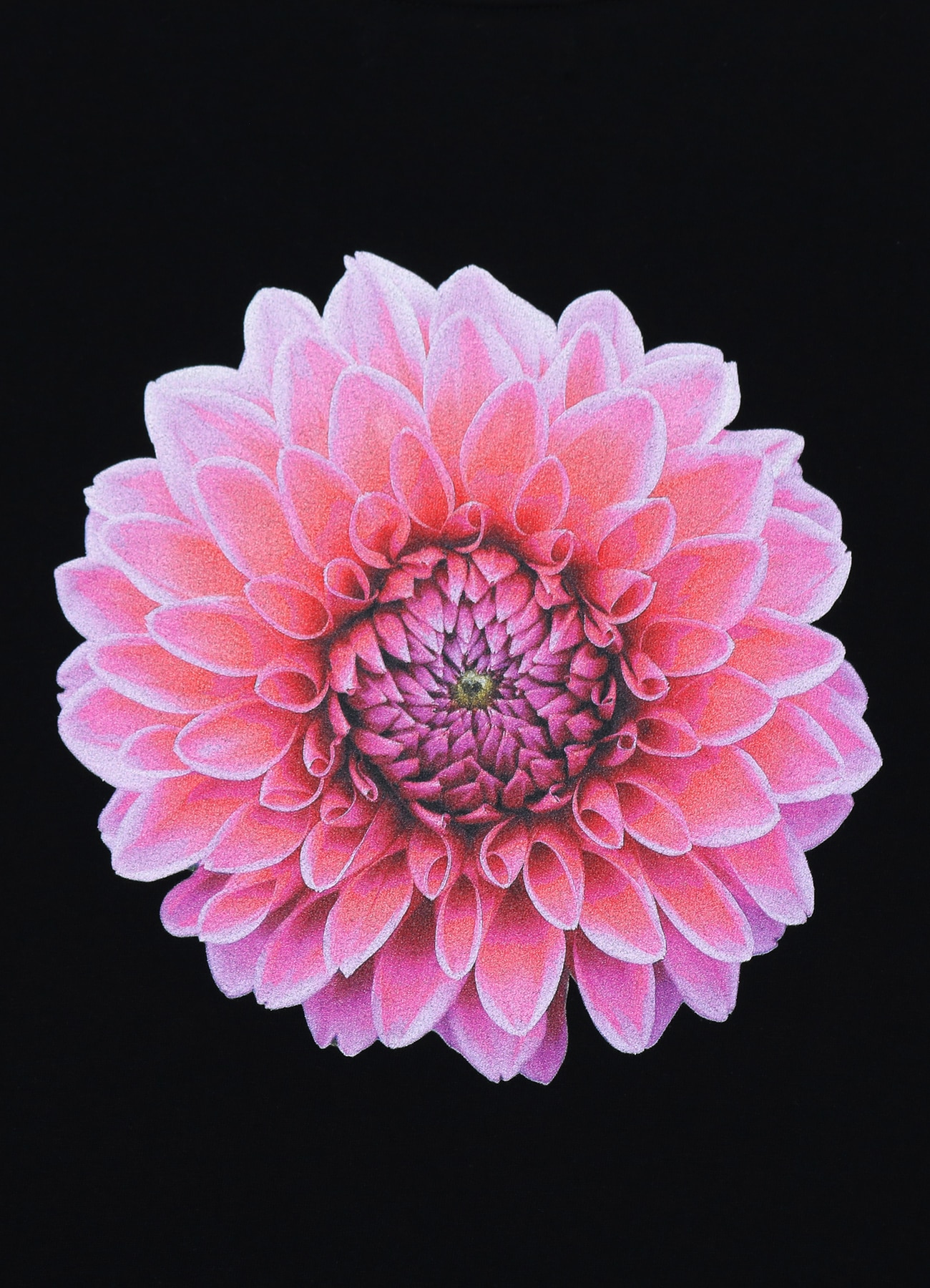 Pink Dahlia Long Sleeve T-shirt_8