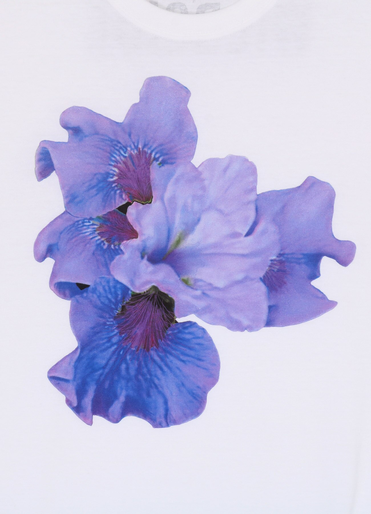 PURPLE LILY White T-Shirt_6